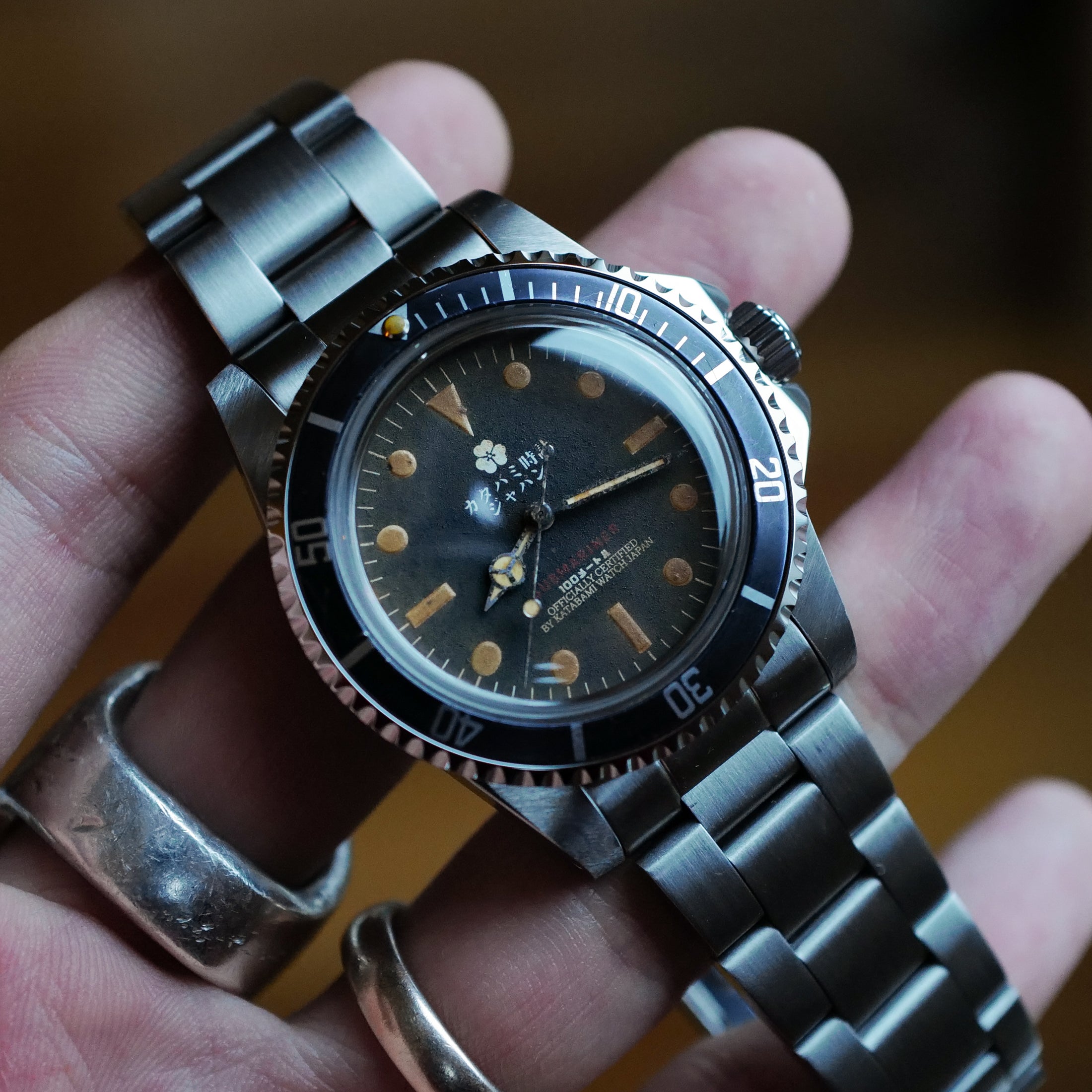 The diver "231"