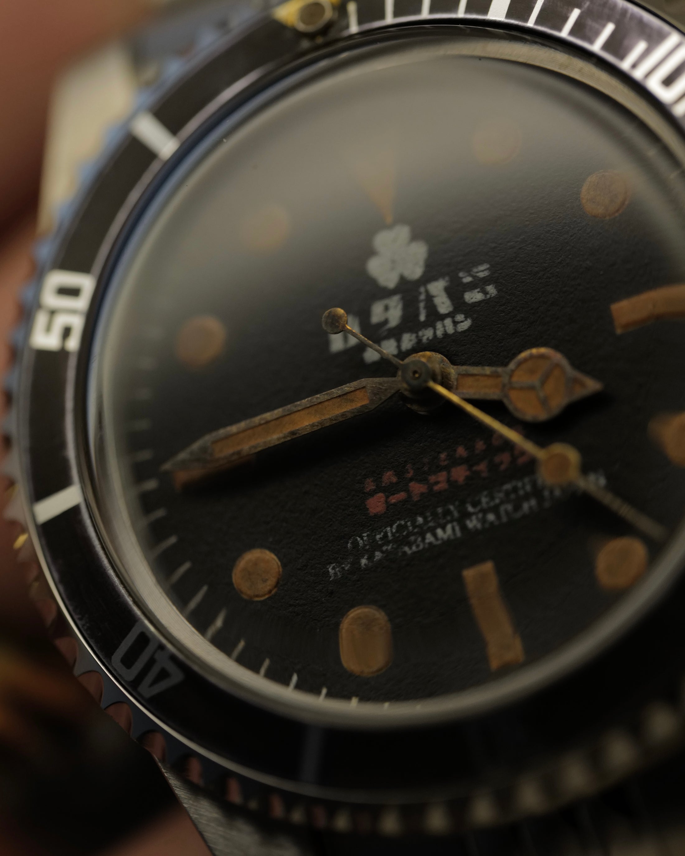 The diver カボチャ  “PUMPKIN”