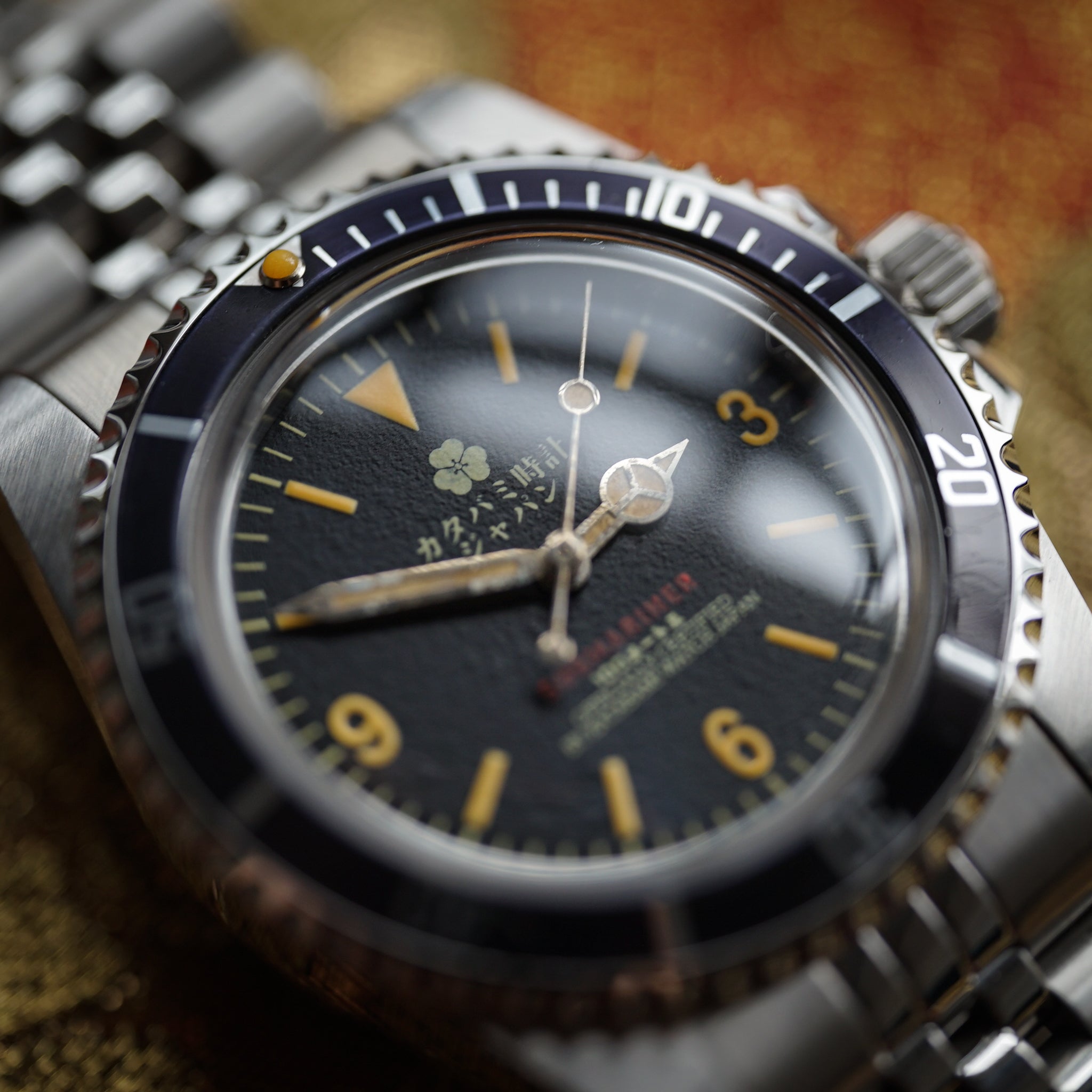 The diver 