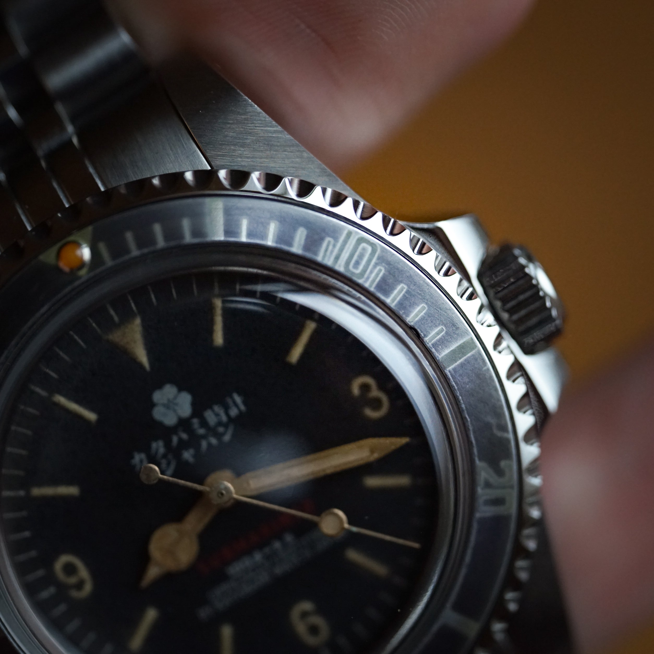 The diver 