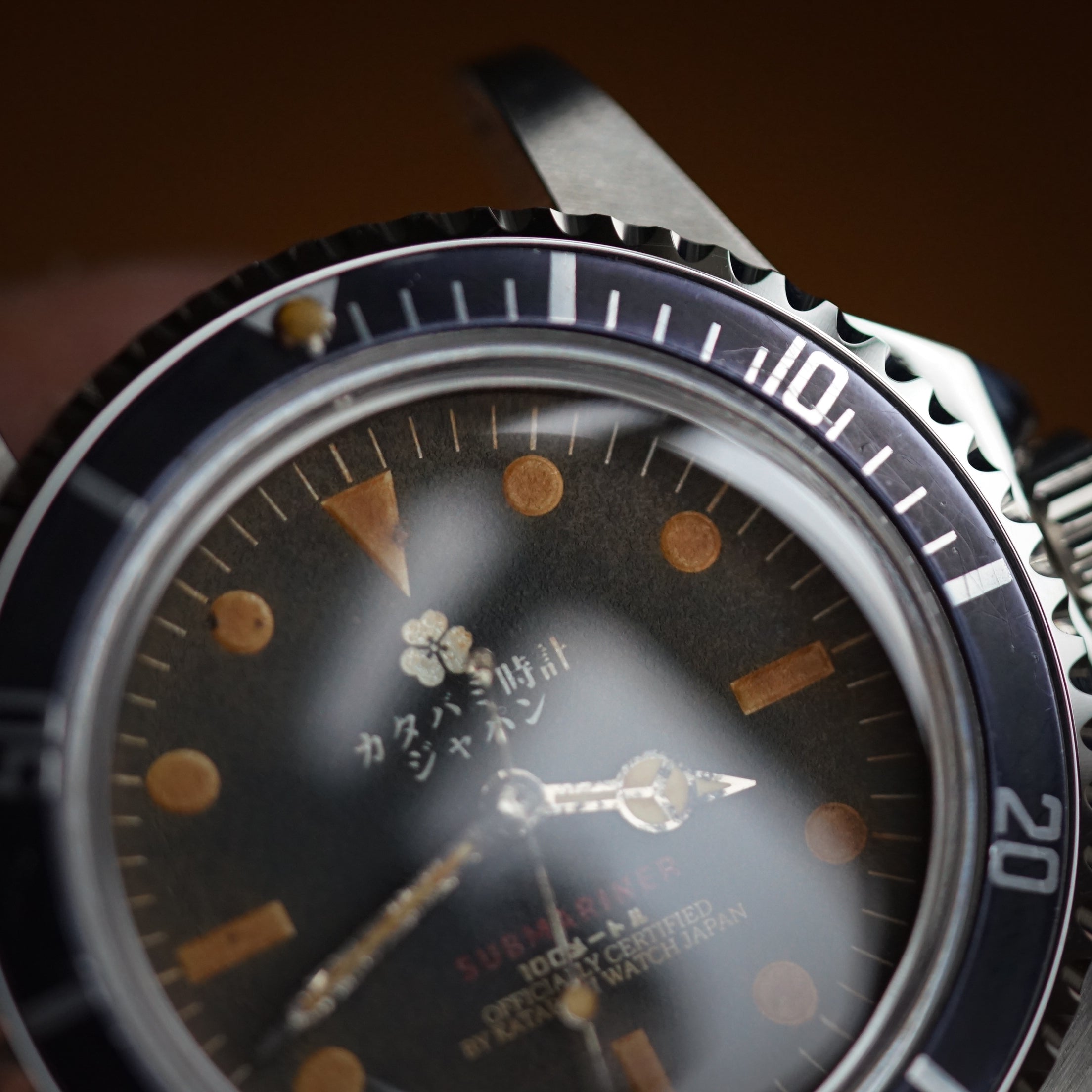 The diver 