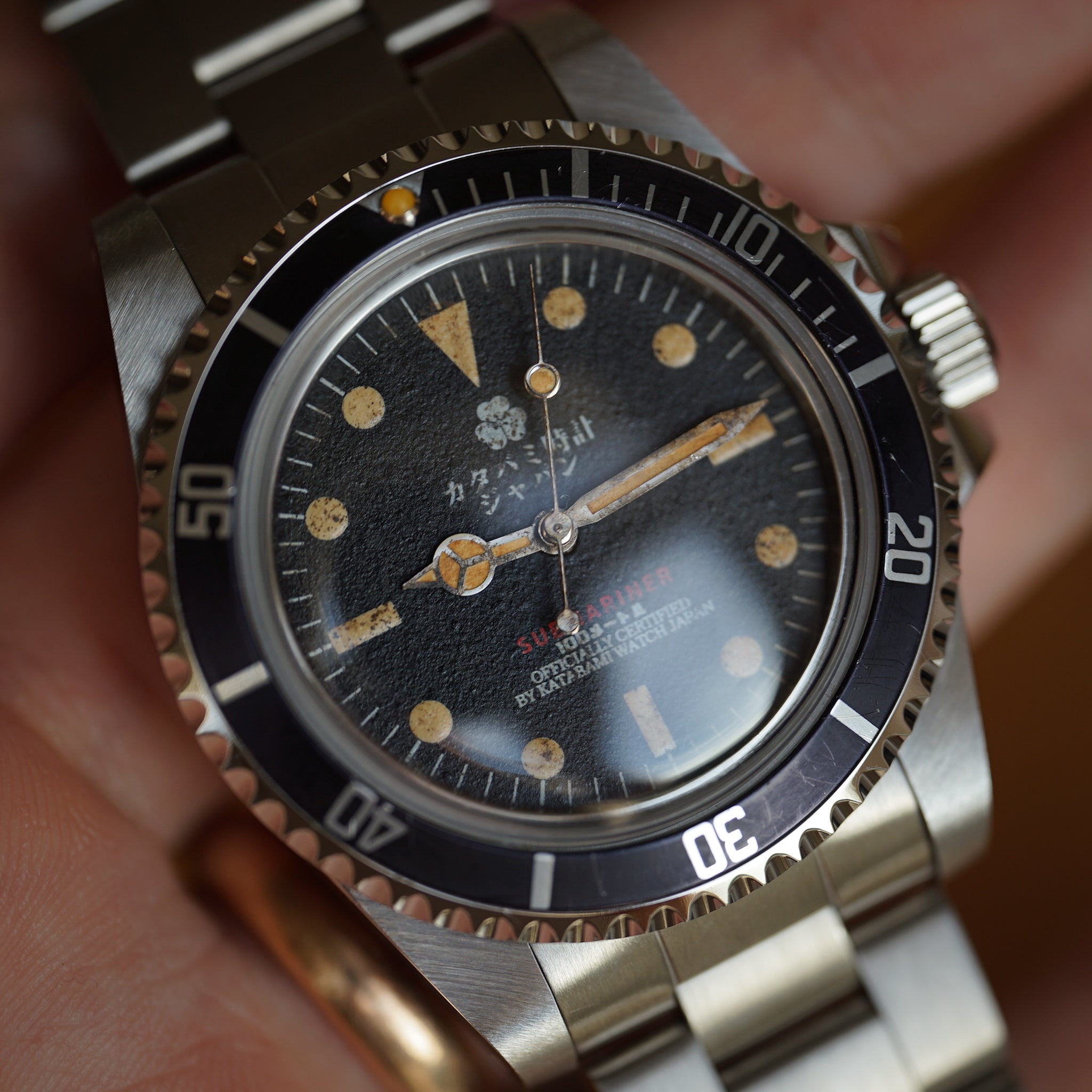 The diver "231"