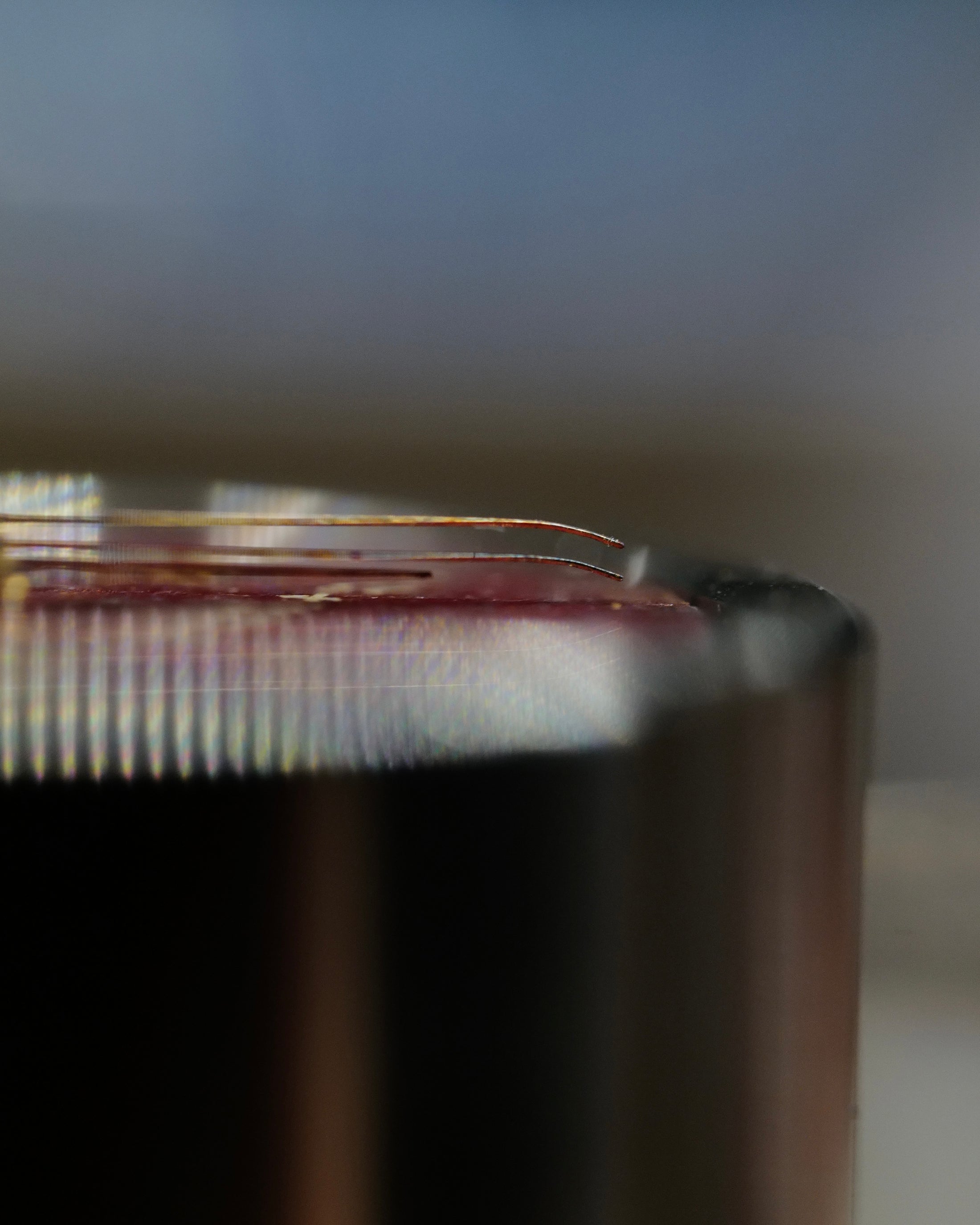 【STOCK】 The Diver “Garnet”