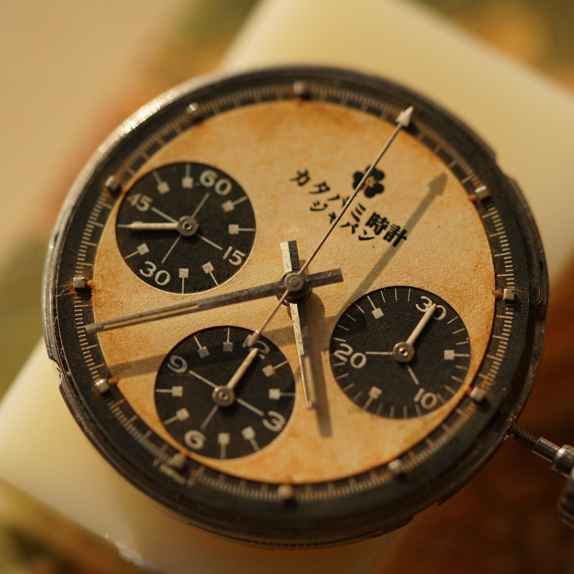 The Chronograph シロ "SHIRO"