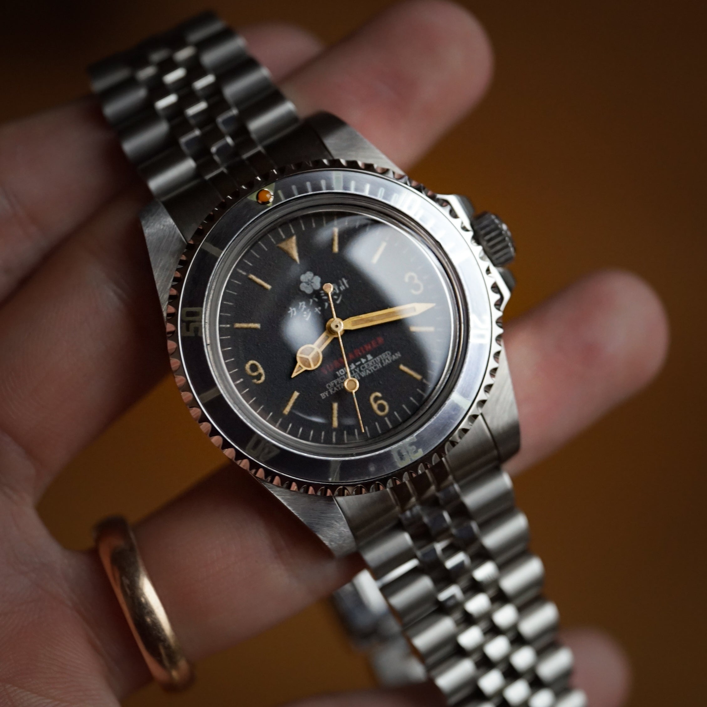 The diver 