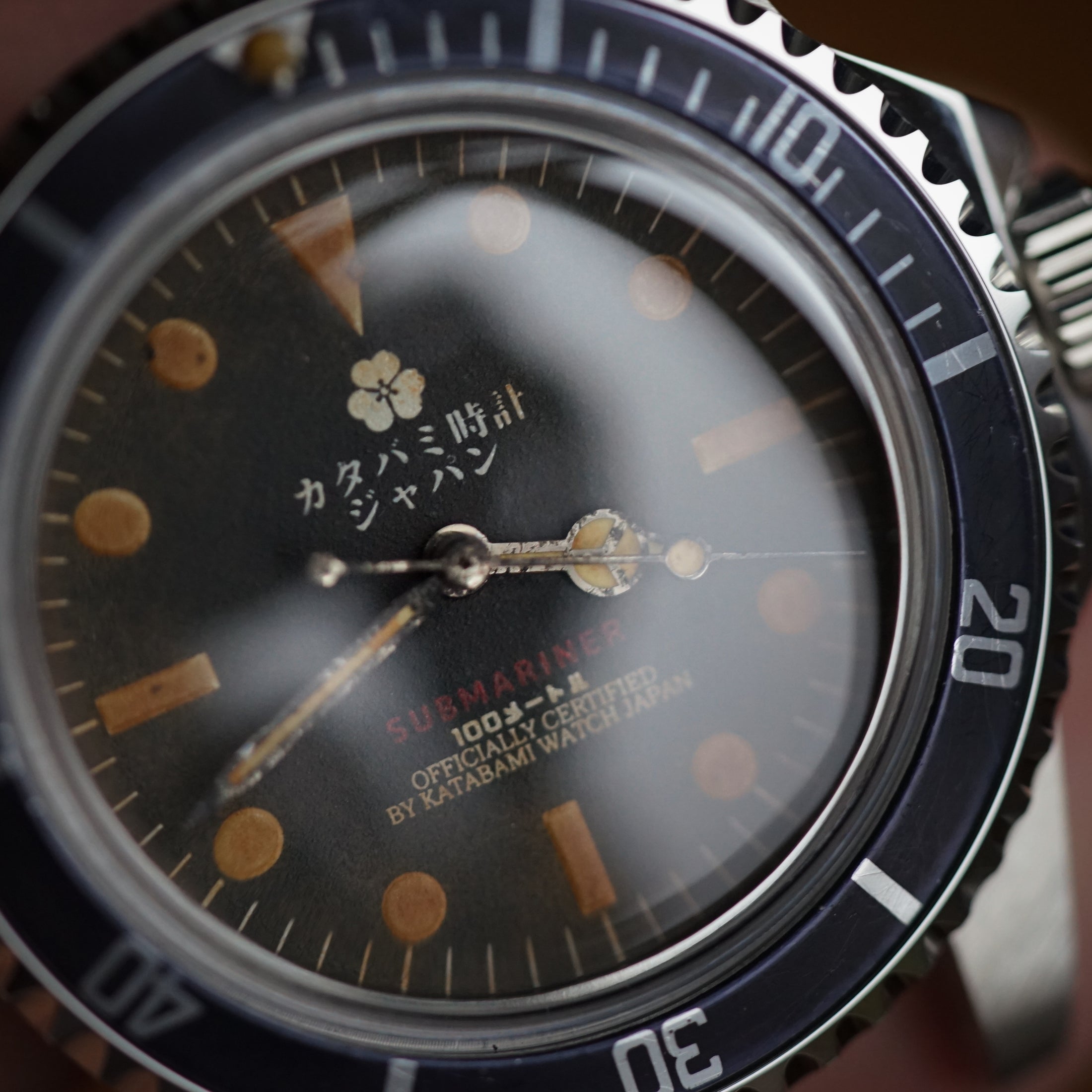 The diver "231"