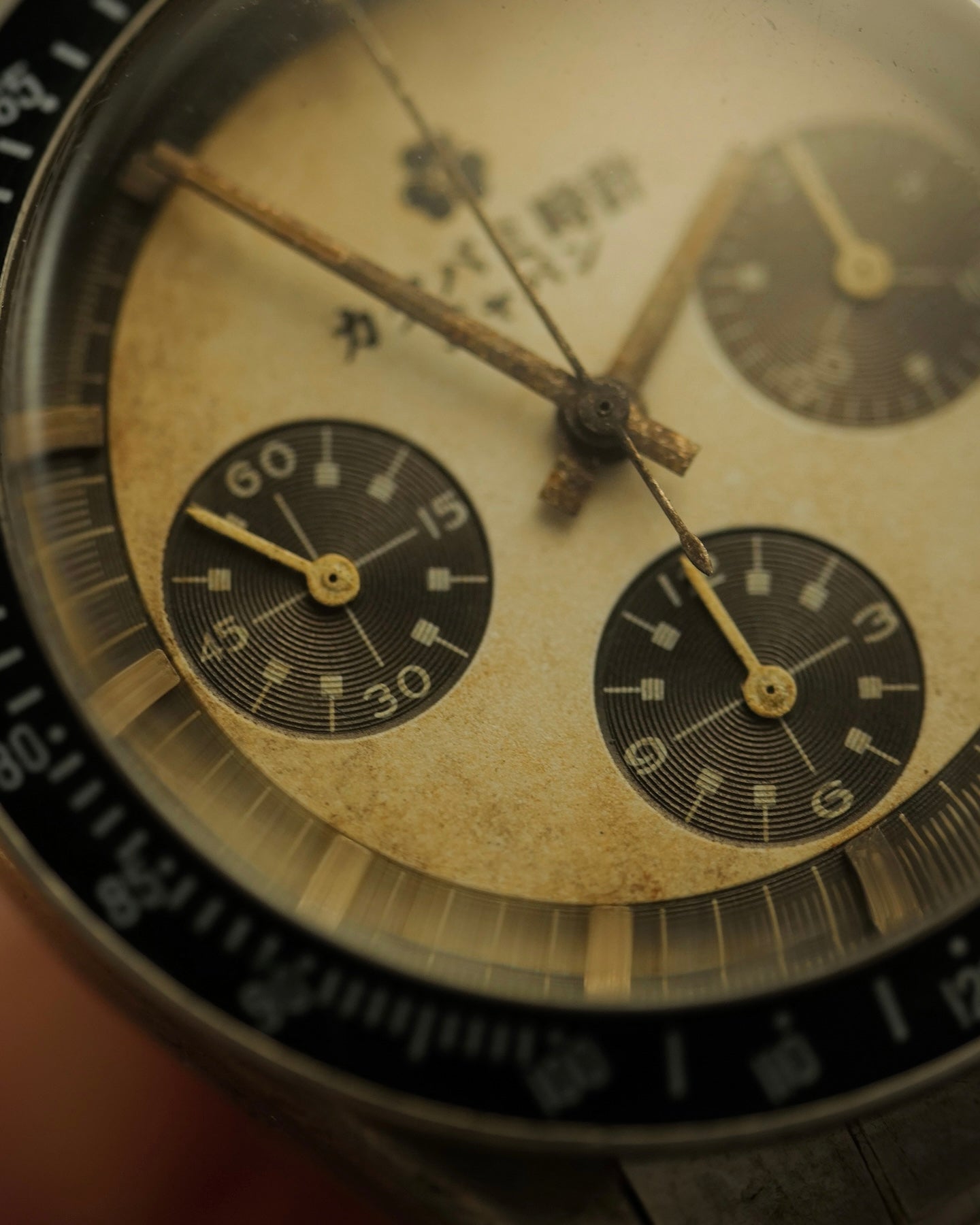 【STOCK】Chronograph “SHIRO”