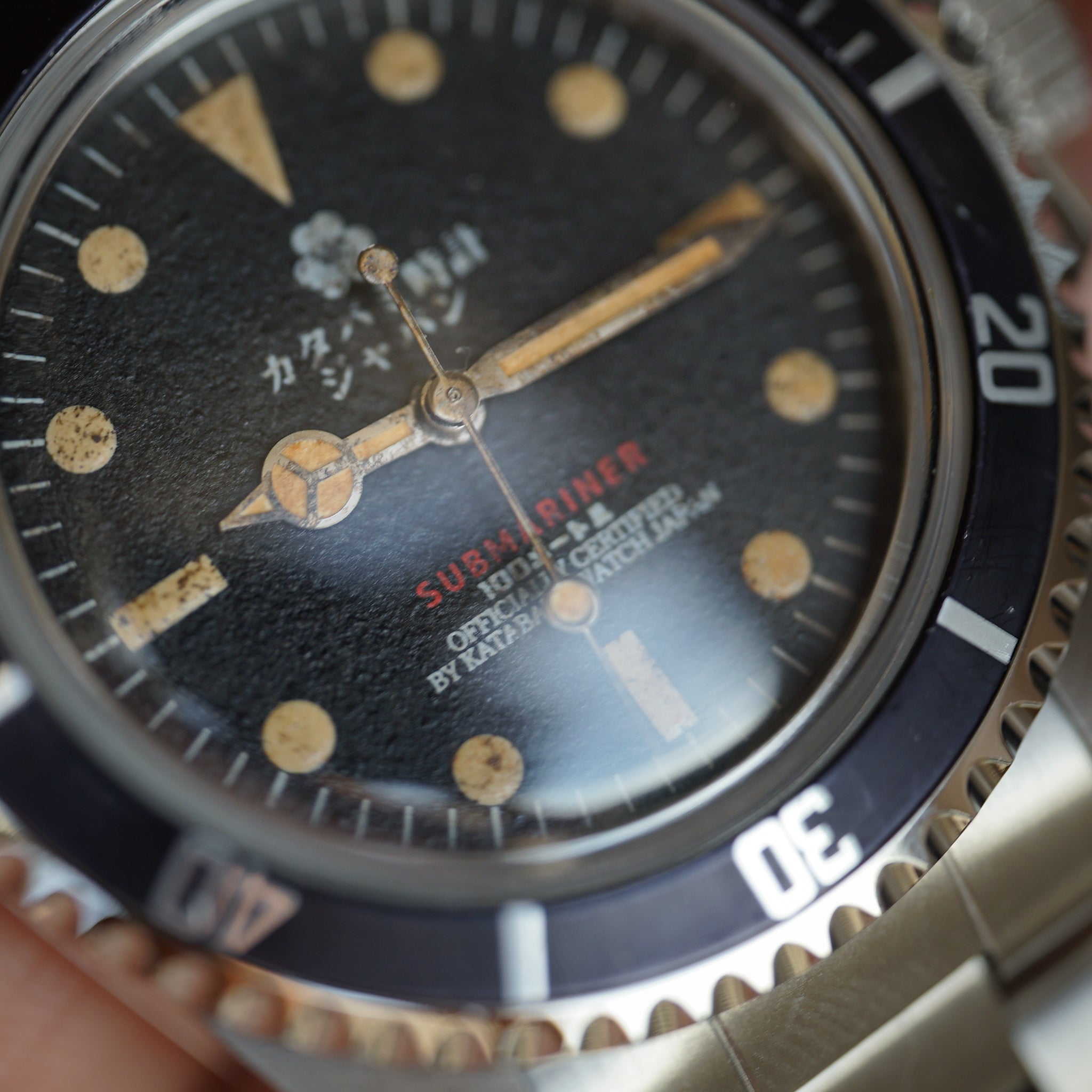 The diver "231"