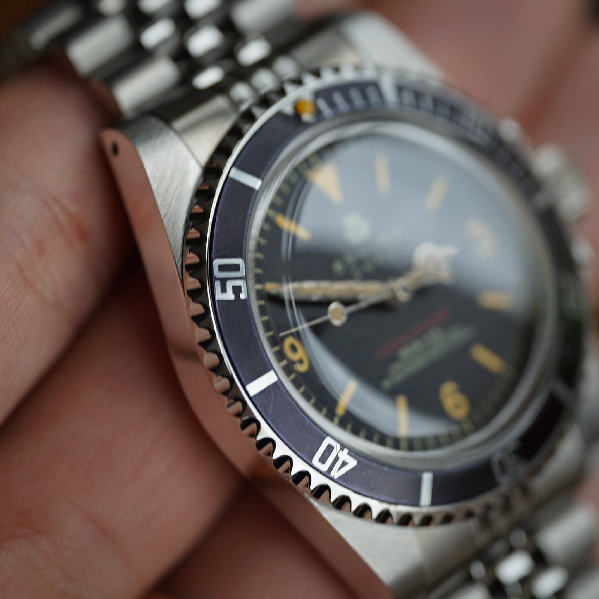 The diver 
