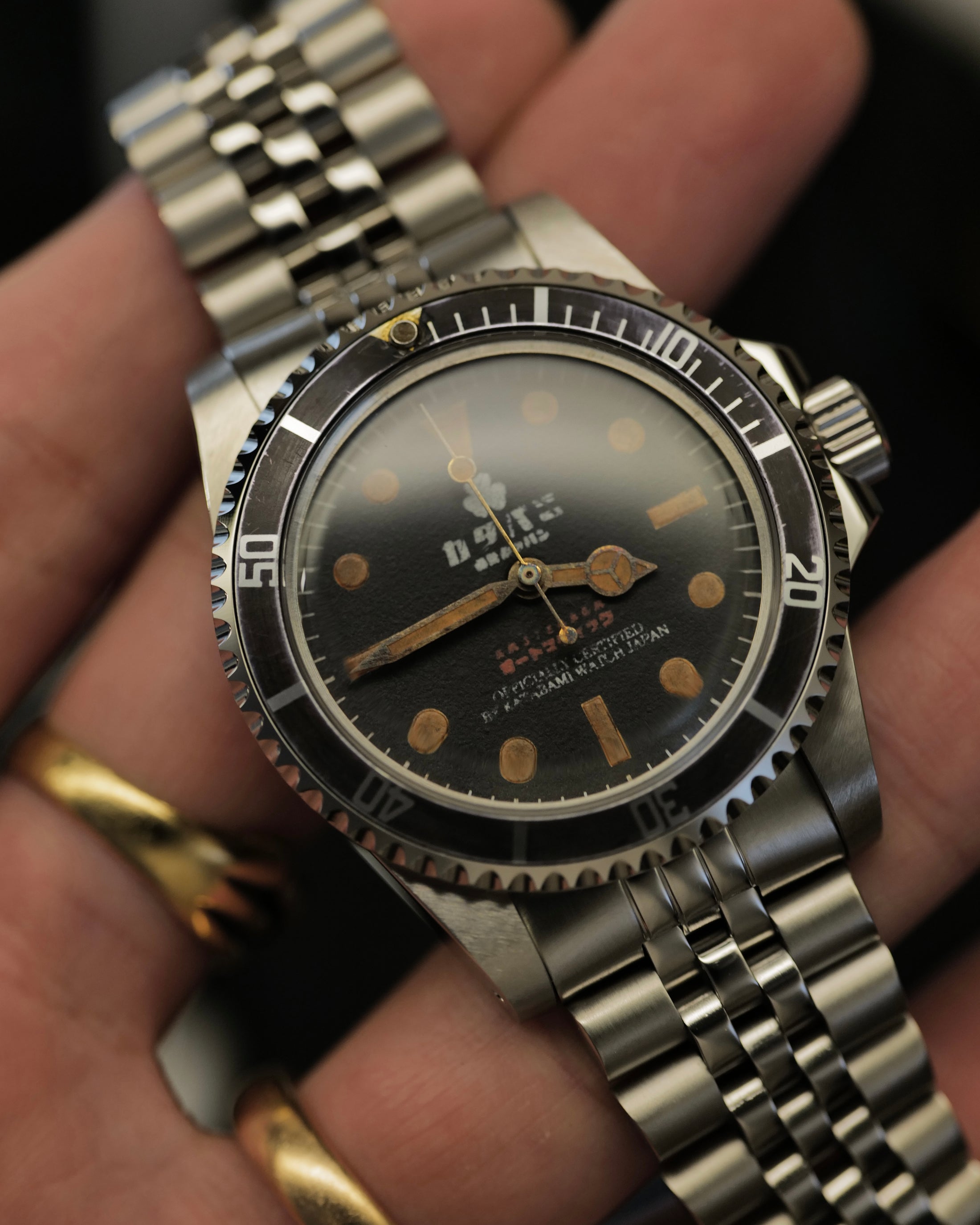 The diver カボチャ  “PUMPKIN”