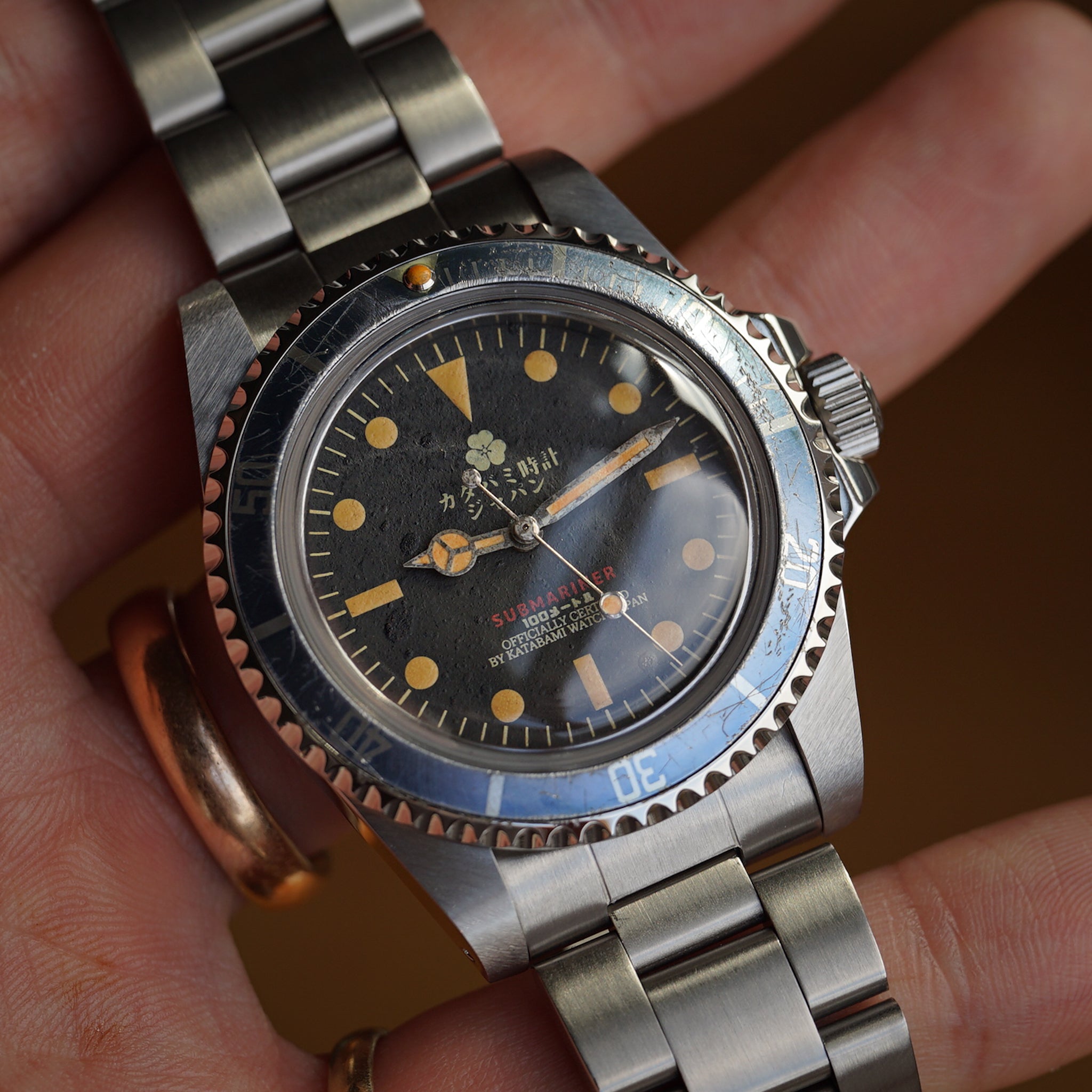 The diver "231"