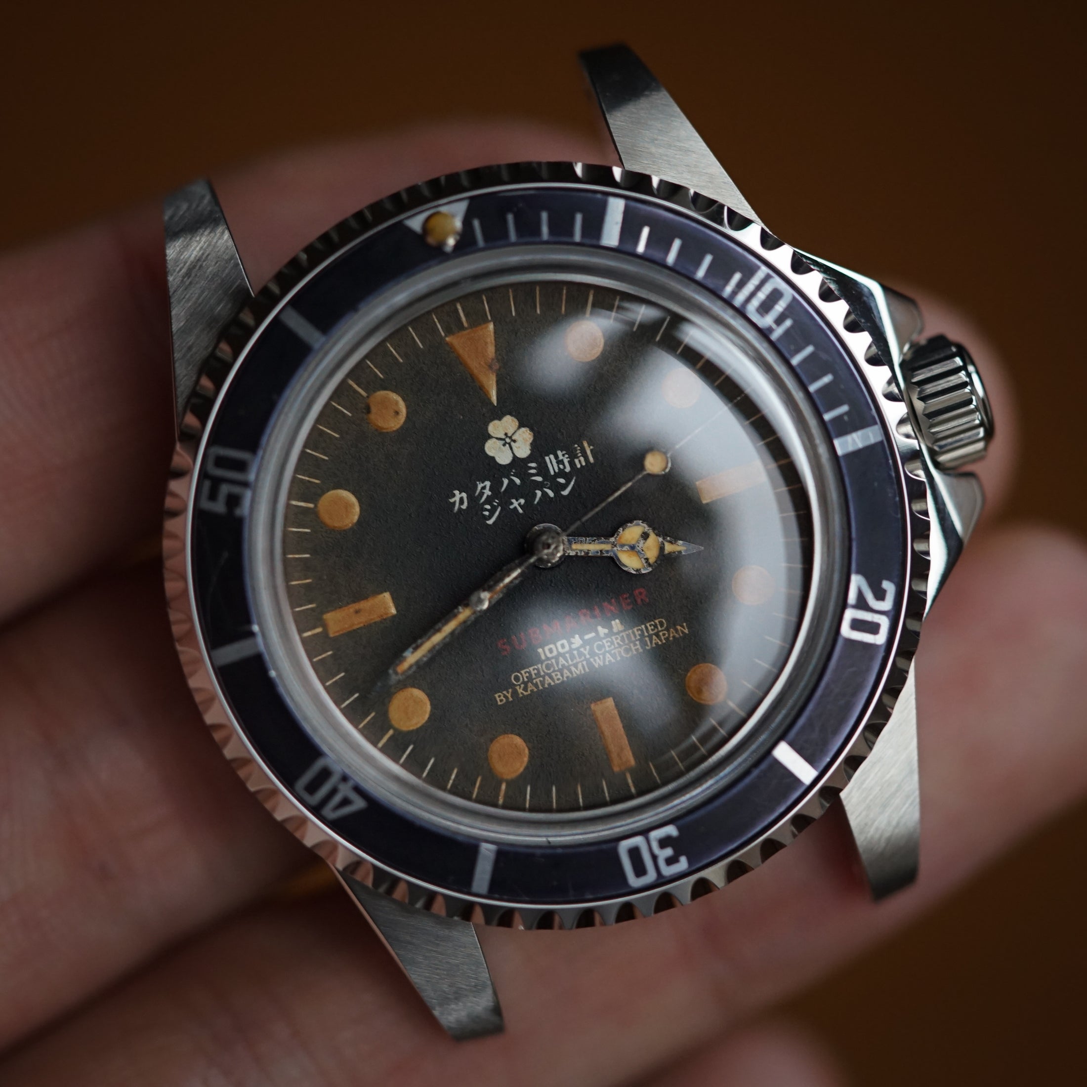 The diver "231"