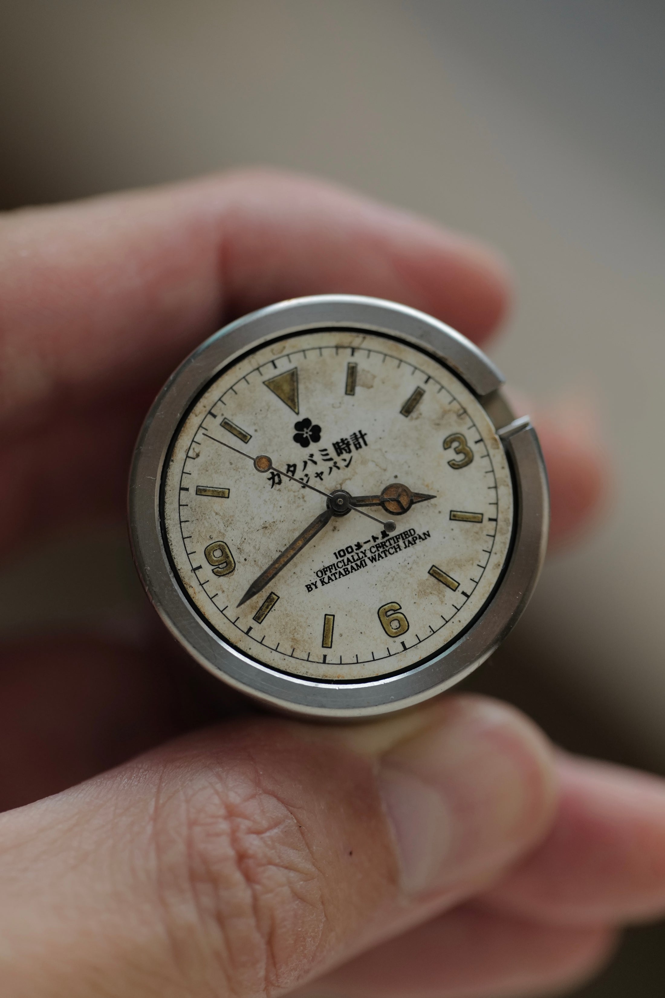 The 36mm  “ALBINO”