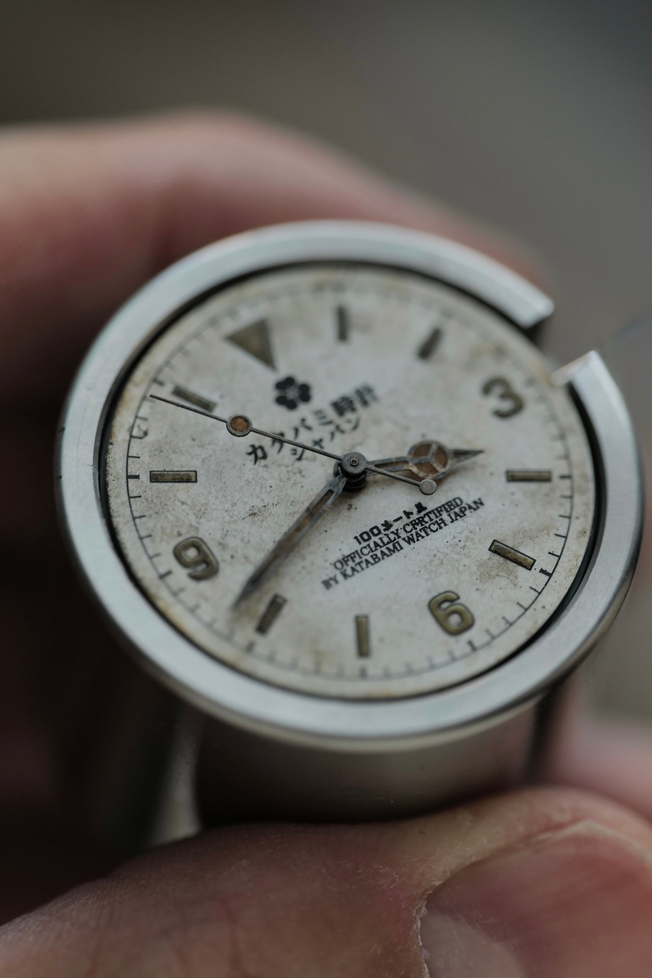 The 36mm  “ALBINO”