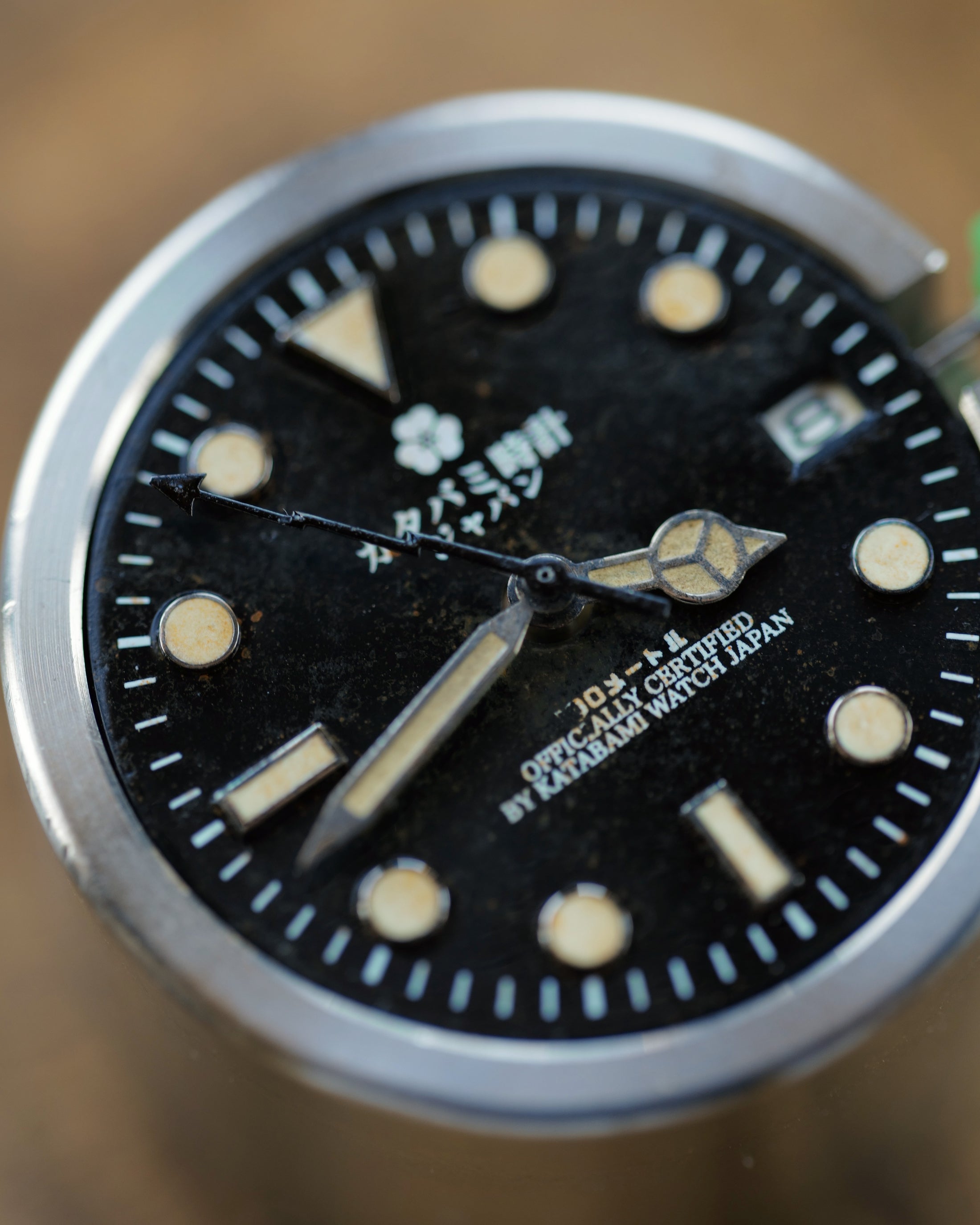 The Diver “NEO-VINTAGE”